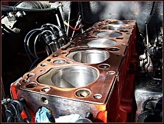 Cylinder Head Gasket